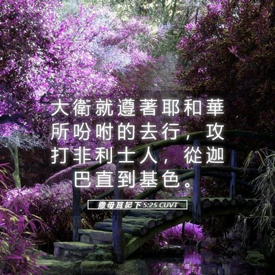 Picture 05 - 撒 母 耳 記 下 5:25 CUVT - 大 衛 就 遵 著 耶 和 華 所 吩 咐 的 - Bible Verse Picture