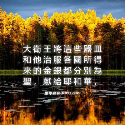 Picture 05 - 撒 母 耳 記 下 8:11 CUVT - 大 衛 王 將 這 些 器 皿 和 他 治 服 - Bible Verse Picture