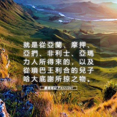 Picture 05 - 撒 母 耳 記 下 8:12 CUVT - 就 是 從 亞 蘭 、 摩 押 、 亞 捫 、 - Bible Verse Picture