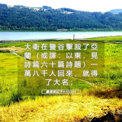 Picture 05 - 撒 母 耳 記 下 8:13 CUVT - 大 衛 在 鹽 谷 擊 殺 了 亞 蘭 （ 或 - Bible Verse Picture
