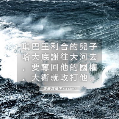Picture 05 - 撒 母 耳 記 下 8:3 CUVT - 瑣 巴 王 利 合 的 兒 子 哈 大 底 謝 - Bible Verse Picture