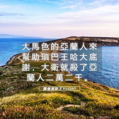 Picture 05 - 撒 母 耳 記 下 8:5 CUVT - 大 馬 色 的 亞 蘭 人 來 幫 助 瑣 巴 - Bible Verse Picture