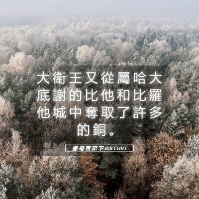 Picture 05 - 撒 母 耳 記 下 8:8 CUVT - 大 衛 王 又 從 屬 哈 大 底 謝 的 比 - Bible Verse Picture