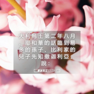 Picture 05 - 撒 迦 利 亞 1:1 CUVT - 大 利 烏 王 第 二 年 八 月 ， 耶 和 - Bible Verse Picture