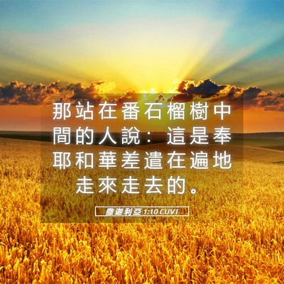 Picture 05 - 撒 迦 利 亞 1:10 CUVT - 那 站 在 番 石 榴 樹 中 間 的 人 說 - Bible Verse Picture