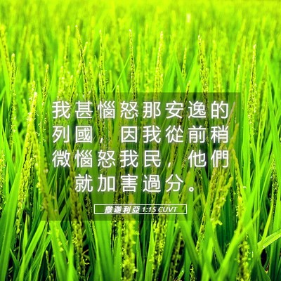 Picture 05 - 撒 迦 利 亞 1:15 CUVT - 我 甚 惱 怒 那 安 逸 的 列 國 ， 因 - Bible Verse Picture