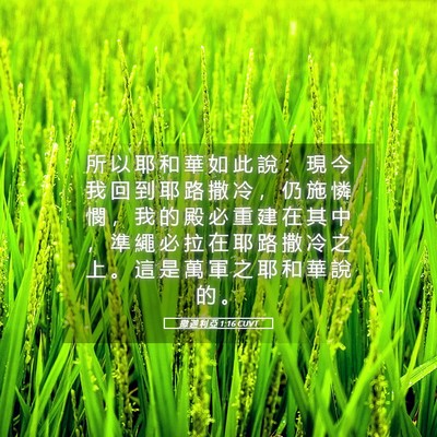 Picture 05 - 撒 迦 利 亞 1:16 CUVT - 所 以 耶 和 華 如 此 說 ： 現 今 我 - Bible Verse Picture