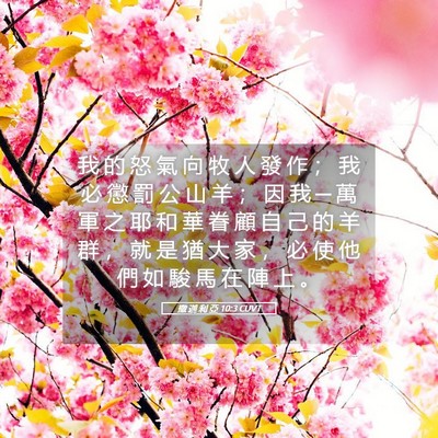 Picture 05 - 撒 迦 利 亞 10:3 CUVT - 我 的 怒 氣 向 牧 人 發 作 ； 我 必 - Bible Verse Picture