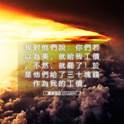 Picture 05 - 撒 迦 利 亞 11:12 CUVT - 我 對 他 們 說 ： 你 們 若 以 為 美 - Bible Verse Picture