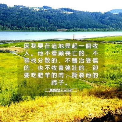 Picture 05 - 撒 迦 利 亞 11:16 CUVT - 因 我 要 在 這 地 興 起 一 個 牧 人 - Bible Verse Picture