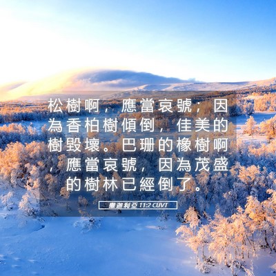 Picture 05 - 撒 迦 利 亞 11:2 CUVT - 松 樹 啊 ， 應 當 哀 號 ； 因 為 香 - Bible Verse Picture