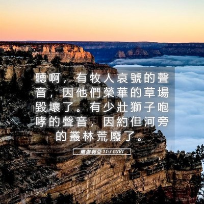 Picture 05 - 撒 迦 利 亞 11:3 CUVT - 聽 啊 ， 有 牧 人 哀 號 的 聲 音 ， - Bible Verse Picture