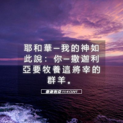 Picture 05 - 撒 迦 利 亞 11:4 CUVT - 耶 和 華 ─ 我 的 神 如 此 說 ： 你 - Bible Verse Picture
