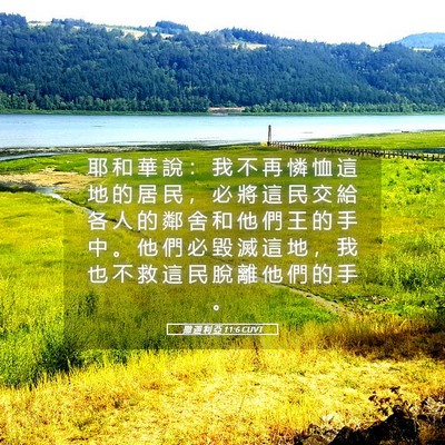 Picture 05 - 撒 迦 利 亞 11:6 CUVT - 耶 和 華 說 ： 我 不 再 憐 恤 這 地 - Bible Verse Picture