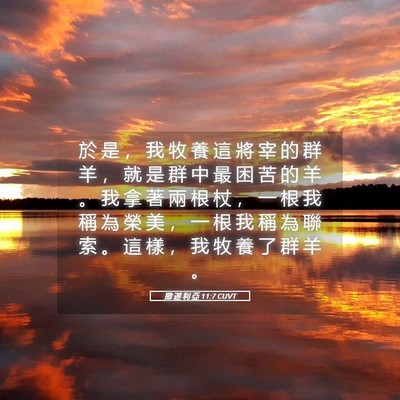 Picture 05 - 撒 迦 利 亞 11:7 CUVT - 於 是 ， 我 牧 養 這 將 宰 的 群 羊 - Bible Verse Picture