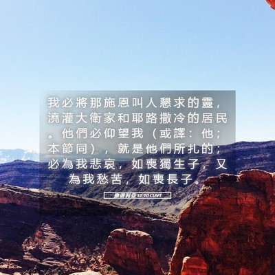 Picture 05 - 撒 迦 利 亞 12:10 CUVT - 我 必 將 那 施 恩 叫 人 懇 求 的 靈 - Bible Verse Picture