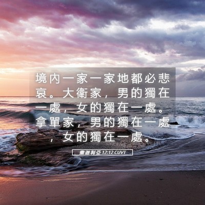Picture 05 - 撒 迦 利 亞 12:12 CUVT - 境 內 一 家 一 家 地 都 必 悲 哀 。 - Bible Verse Picture