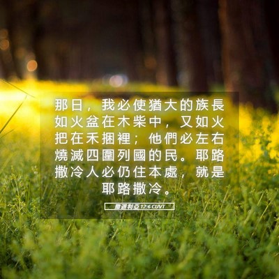 Picture 05 - 撒 迦 利 亞 12:6 CUVT - 那 日 ， 我 必 使 猶 大 的 族 長 如 - Bible Verse Picture