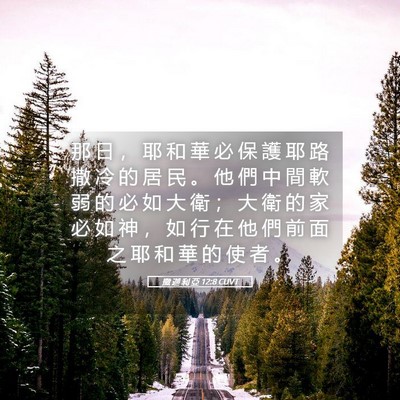 Picture 05 - 撒 迦 利 亞 12:8 CUVT - 那 日 ， 耶 和 華 必 保 護 耶 路 撒 - Bible Verse Picture