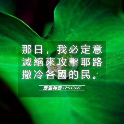 Picture 05 - 撒 迦 利 亞 12:9 CUVT - 那 日 ， 我 必 定 意 滅 絕 來 攻 擊 - Bible Verse Picture
