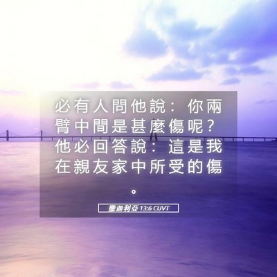Picture 05 - 撒 迦 利 亞 13:6 CUVT - 必 有 人 問 他 說 ： 你 兩 臂 中 間 - Bible Verse Picture
