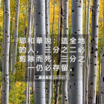 Picture 05 - 撒 迦 利 亞 13:8 CUVT - 耶 和 華 說 ： 這 全 地 的 人 ， 三 - Bible Verse Picture