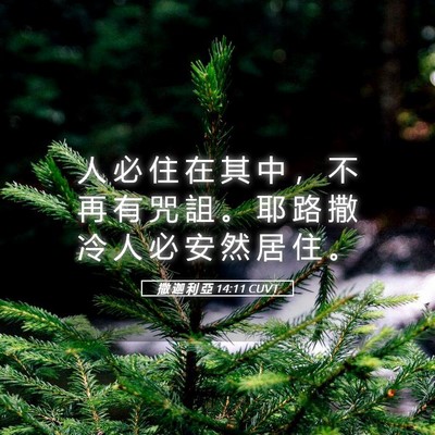 Picture 05 - 撒 迦 利 亞 14:11 CUVT - 人 必 住 在 其 中 ， 不 再 有 咒 詛 - Bible Verse Picture