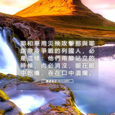 Picture 05 - 撒 迦 利 亞 14:12 CUVT - 耶 和 華 用 災 殃 攻 擊 那 與 耶 路 - Bible Verse Picture