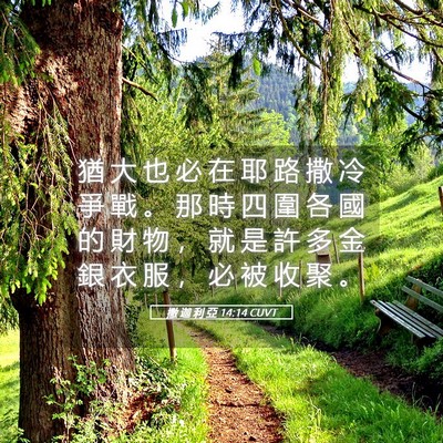 Picture 05 - 撒 迦 利 亞 14:14 CUVT - 猶 大 也 必 在 耶 路 撒 冷 爭 戰 。 - Bible Verse Picture