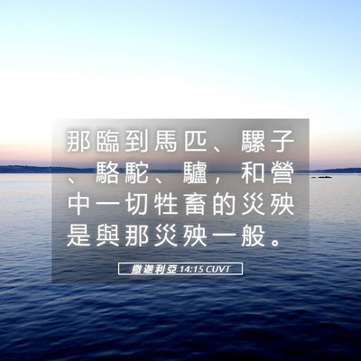 Picture 05 - 撒 迦 利 亞 14:15 CUVT - 那 臨 到 馬 匹 、 騾 子 、 駱 駝 、 - Bible Verse Picture