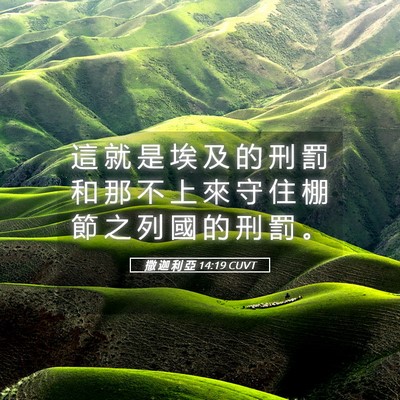 Picture 05 - 撒 迦 利 亞 14:19 CUVT - 這 就 是 埃 及 的 刑 罰 和 那 不 上 - Bible Verse Picture