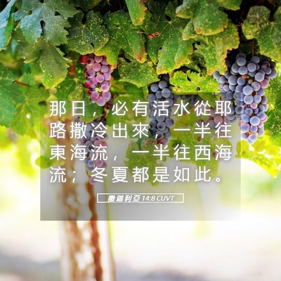 Picture 05 - 撒 迦 利 亞 14:8 CUVT - 那 日 ， 必 有 活 水 從 耶 路 撒 冷 - Bible Verse Picture