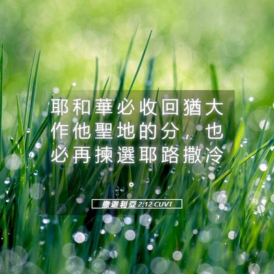 Picture 05 - 撒 迦 利 亞 2:12 CUVT - 耶 和 華 必 收 回 猶 大 作 他 聖 地 - Bible Verse Picture