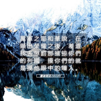 Picture 05 - 撒 迦 利 亞 2:8 CUVT - 萬 軍 之 耶 和 華 說 ， 在 顯 出 榮 - Bible Verse Picture