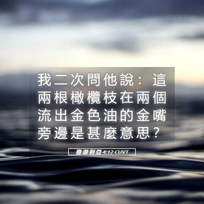Picture 05 - 撒 迦 利 亞 4:12 CUVT - 我 二 次 問 他 說 ： 這 兩 根 橄 欖 - Bible Verse Picture