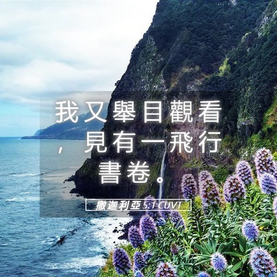 Picture 05 - 撒 迦 利 亞 5:1 CUVT - 我 又 舉 目 觀 看 ， 見 有 一 飛 行 - Bible Verse Picture