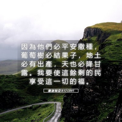 Picture 05 - 撒 迦 利 亞 8:12 CUVT - 因 為 他 們 必 平 安 撒 種 ， 葡 萄 - Bible Verse Picture