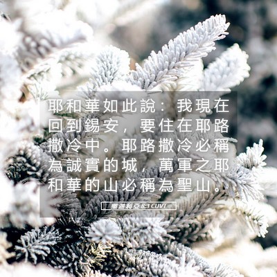 Picture 05 - 撒 迦 利 亞 8:3 CUVT - 耶 和 華 如 此 說 ： 我 現 在 回 到 - Bible Verse Picture