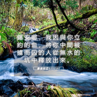 Picture 05 - 撒 迦 利 亞 9:11 CUVT - 錫 安 哪 ， 我 因 與 你 立 約 的 血 - Bible Verse Picture
