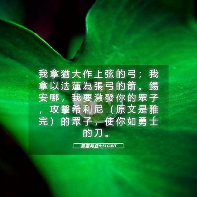 Picture 05 - 撒 迦 利 亞 9:13 CUVT - 我 拿 猶 大 作 上 弦 的 弓 ； 我 拿 - Bible Verse Picture