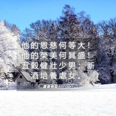 Picture 05 - 撒 迦 利 亞 9:17 CUVT - 他 的 恩 慈 何 等 大 ！ 他 的 榮 美 - Bible Verse Picture