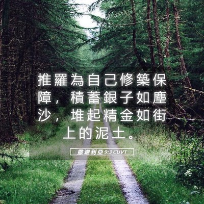 Picture 05 - 撒 迦 利 亞 9:3 CUVT - 推 羅 為 自 己 修 築 保 障 ， 積 蓄 - Bible Verse Picture