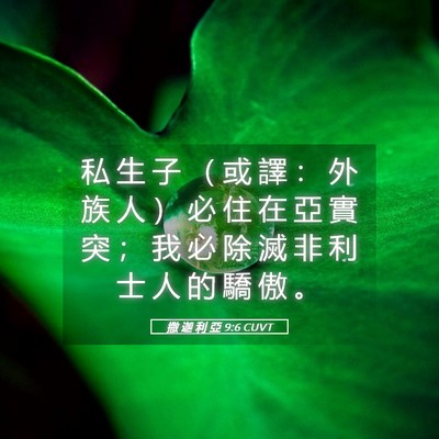 Picture 05 - 撒 迦 利 亞 9:6 CUVT - 私 生 子 （ 或 譯 ： 外 族 人 ） 必 - Bible Verse Picture