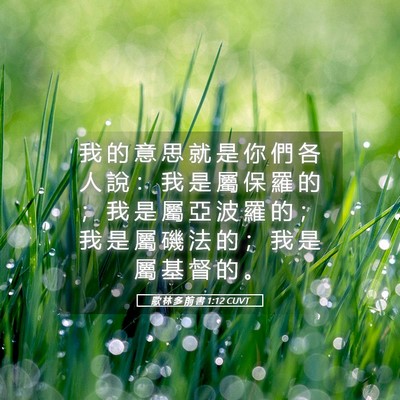 Picture 05 - 歌 林 多 前 書 1:12 CUVT - 我 的 意 思 就 是 你 們 各 人 說 ： - Bible Verse Picture