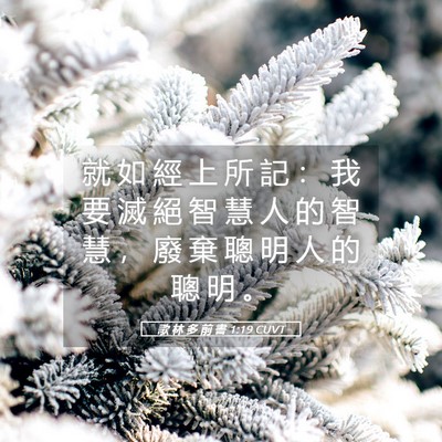 Picture 05 - 歌 林 多 前 書 1:19 CUVT - 就 如 經 上 所 記 ： 我 要 滅 絕 智 - Bible Verse Picture
