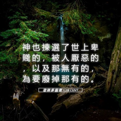 Picture 05 - 歌 林 多 前 書 1:28 CUVT - 神 也 揀 選 了 世 上 卑 賤 的 ， 被 - Bible Verse Picture