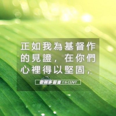 Picture 05 - 歌 林 多 前 書 1:6 CUVT - 正 如 我 為 基 督 作 的 見 證 ， 在 - Bible Verse Picture