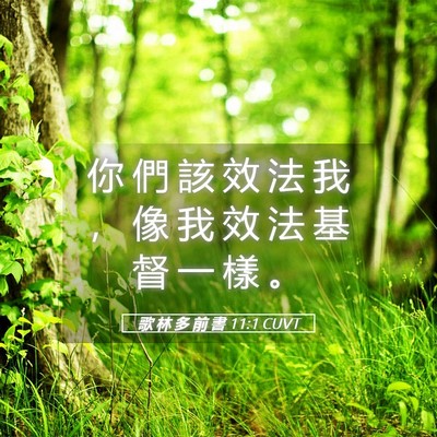 Picture 05 - 歌 林 多 前 書 11:1 CUVT - 你 們 該 效 法 我 ， 像 我 效 法 基 - Bible Verse Picture