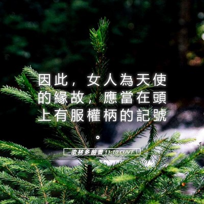 Picture 05 - 歌 林 多 前 書 11:10 CUVT - 因 此 ， 女 人 為 天 使 的 緣 故 ， - Bible Verse Picture