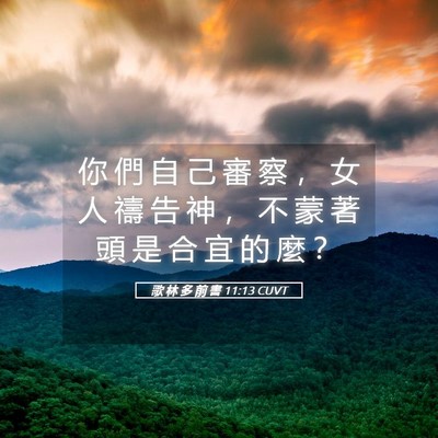 Picture 05 - 歌 林 多 前 書 11:13 CUVT - 你 們 自 己 審 察 ， 女 人 禱 告 神 - Bible Verse Picture